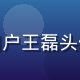 用户王磊头像